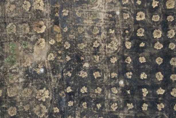 Foto - 21 Haziran’a kadar süre verdiler! "Bu bölgelerde orman yangını çıkabilir"