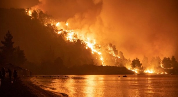 21 Haziran’a kadar süre verdiler! "Bu bölgelerde orman yangını çıkabilir"