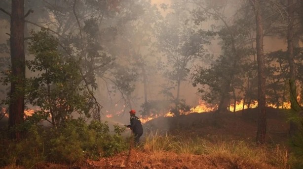 Foto - 21 Haziran’a kadar süre verdiler! "Bu bölgelerde orman yangını çıkabilir"