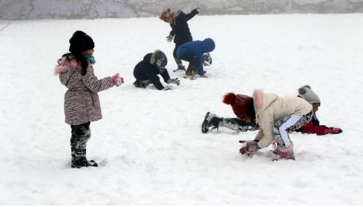 Foto - 21 ilde kar tatili