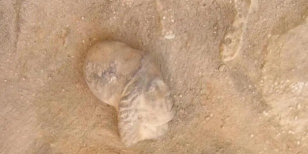 Foto - 21. yüzyılın en önemli keşfi! Kleopatra'nın mezarı (mumyası) bulundu mu? Kleopatra mezarından ve soyundan gelenlerden olabilir!