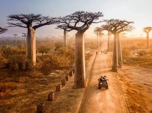 Foto - 2100 yılında nüfusun en çok olduğu ülke açıklandı! Peki Türkiye kaçıncı sırada?