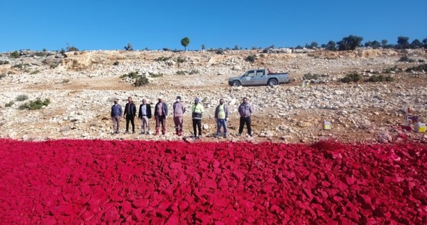 Foto - 22 dönümlük araziye Türk Bayrağı boyandı