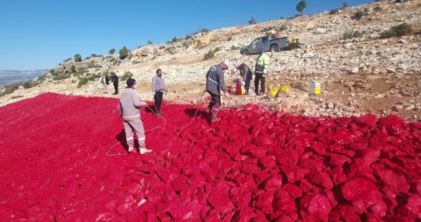 Foto - 22 dönümlük araziye Türk Bayrağı boyandı