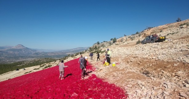 Foto - 22 dönümlük araziye Türk Bayrağı boyandı