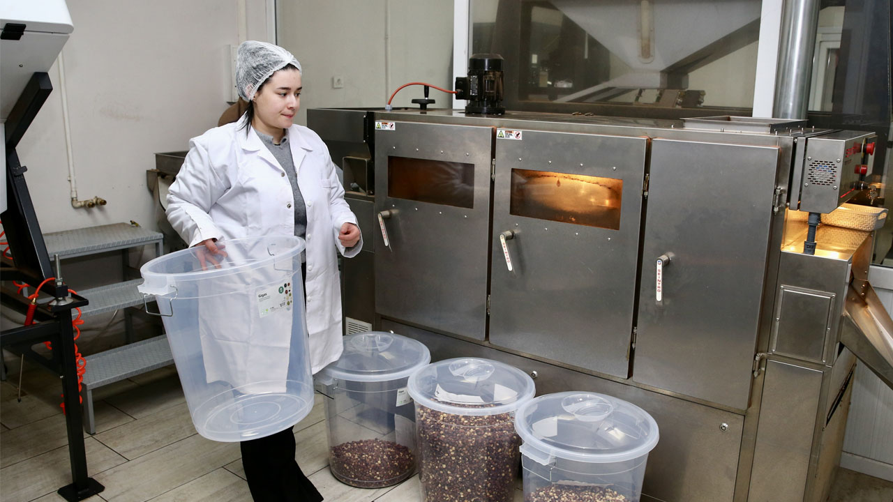 23 yaşında kendi işinin patronu oldu! Devlet desteğiyle fındığa değer kattı