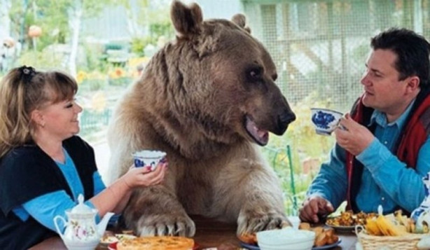 Foto - 23 yıldır bir ayıyla yaşıyorlar