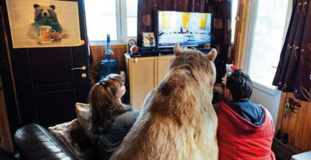 Foto - 23 yıldır bir ayıyla yaşıyorlar