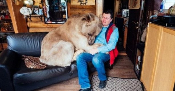 Foto - 23 yıldır bir ayıyla yaşıyorlar