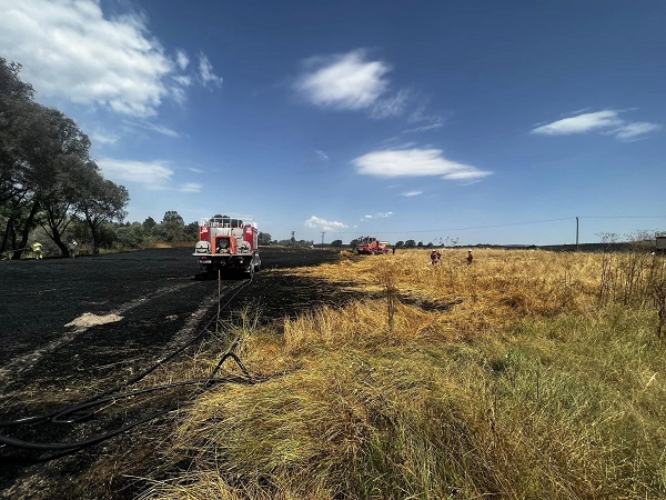 24 dönümlük buğday tarlası kül oldu