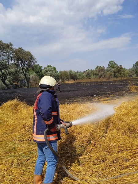 Foto - 24 dönümlük buğday tarlası kül oldu