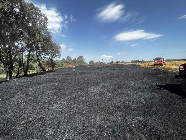 Foto - 24 dönümlük buğday tarlası kül oldu