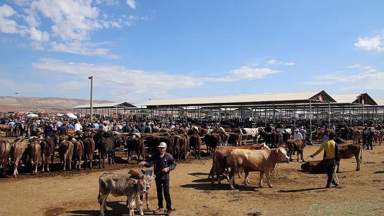 Foto - 24 ilde hayvan pazarları yeniden açıldı: Bakanlık açıkladı