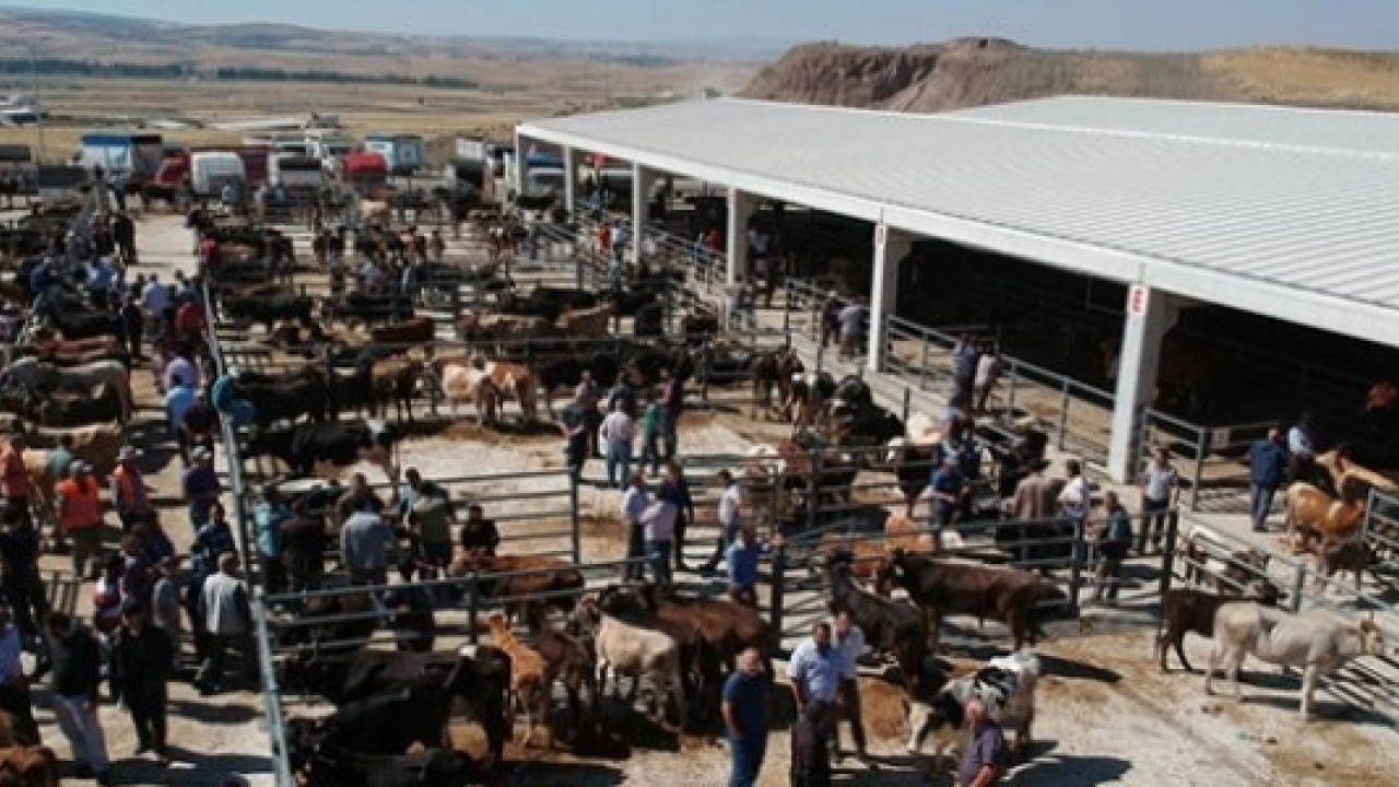 Foto - 24 ilde hayvan pazarları yeniden açıldı: Bakanlık açıkladı