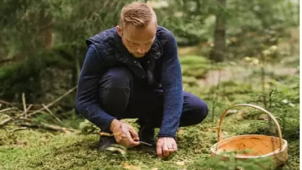 Foto - 24 saat izleniyor, günde 3 ton ürün veriyor! Bunu yapanın cebi parayla doluyor: Yetişmesi de oldukça basit