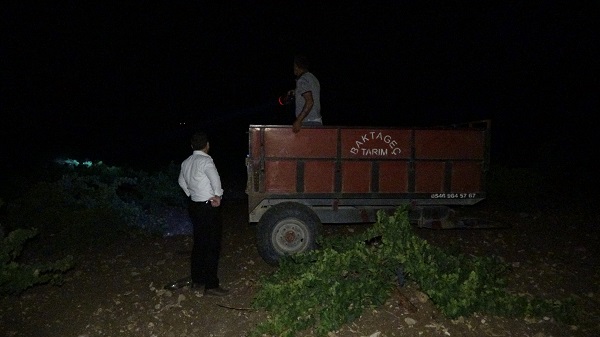 Foto - 24 saat tüfekle nöbet tutuyor