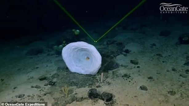 Foto - 24 yıl önce keşfedilmişti... Titanic enkazından gelen gizemli sesin sırrı ortaya çıktı