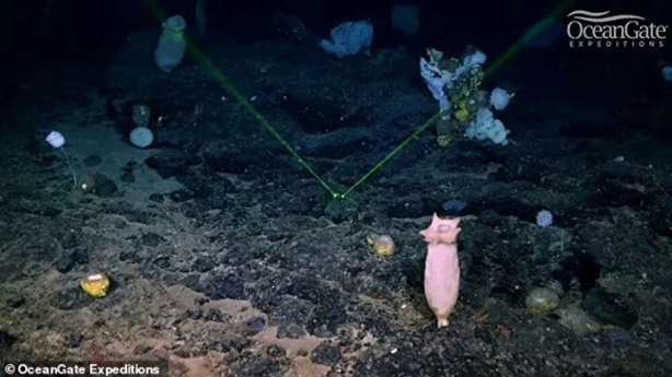 Foto - 24 yıl önce keşfedilmişti... Titanic enkazından gelen gizemli sesin sırrı ortaya çıktı