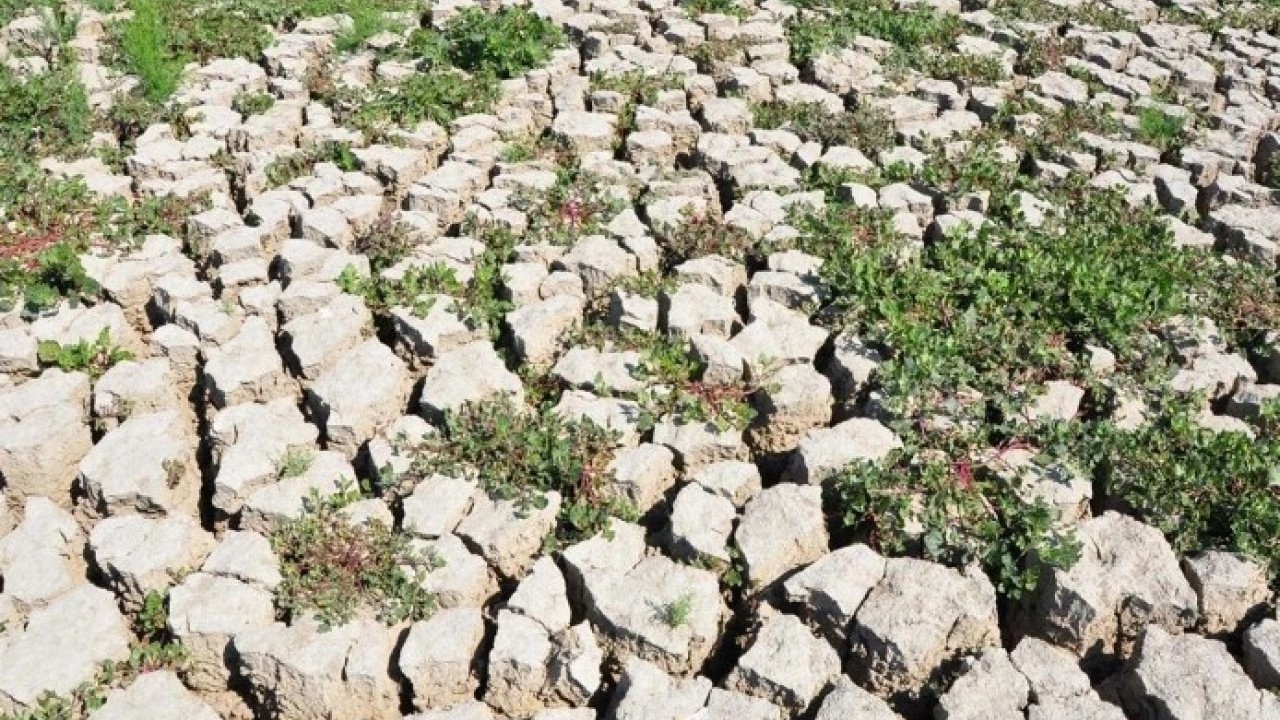 Foto - 240 gölden 186’sı tamamen kurudu! 2050'lerde beklenen sıcaklıklar şimdiden yaşanıyor