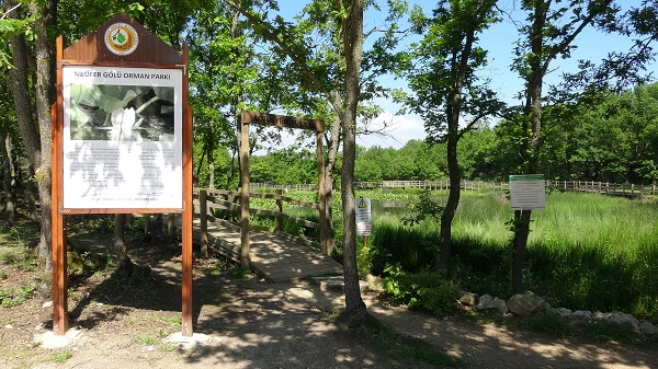 Foto - 244 bin liranız yoksa bu çiçeğin yanından geçmeyin