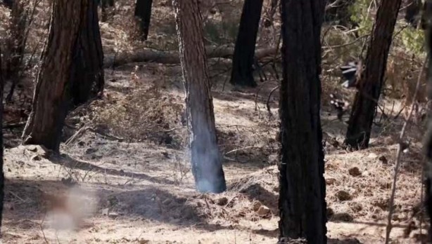 Foto - 25 gün sonra bile içten içe yanıyor