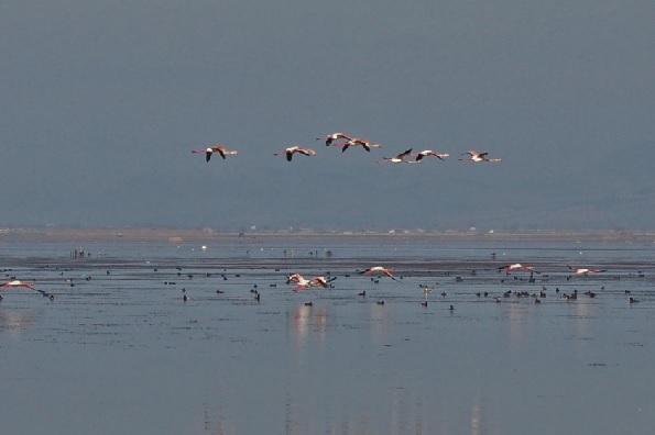 Foto - 25 milyon metre küp su o göle taşınacak