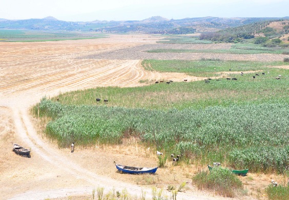 Foto - 25 milyon metre küp su o göle taşınacak