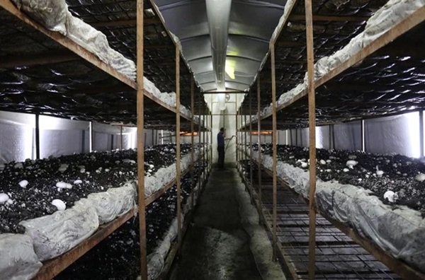 Foto - 25 taneyle başladı! Şimdi paraya para demiyor