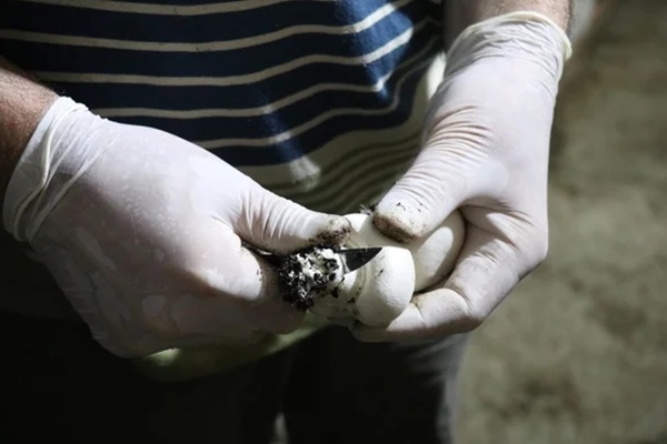 Foto - 25 taneyle başladı! Şimdi paraya para demiyor