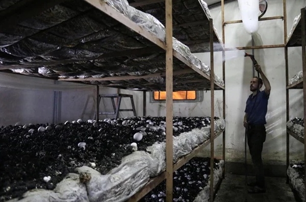 25 taneyle başladı! Şimdi paraya para demiyor