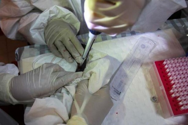 Foto - 26 hayvan türüyle ilgili kabus gibi açıklama! İnsanlara geçebilir