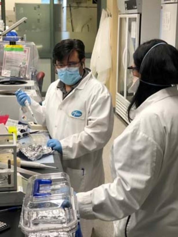 Foto - 26 hayvan türüyle ilgili kabus gibi açıklama! İnsanlara geçebilir