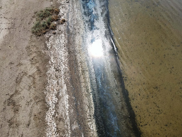 Foto - 261 kuş türüne ev sahipliği yapıyor! O göl tam 20 metre çekildi