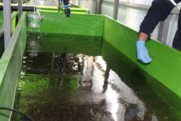 Foto - 2700 rakımda 20 milyon liralık yatırım