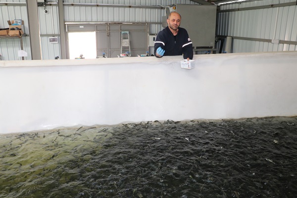 Foto - 2700 rakımda 20 milyon liralık yatırım