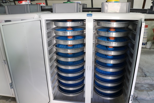 Foto - 2700 rakımda 20 milyon liralık yatırım