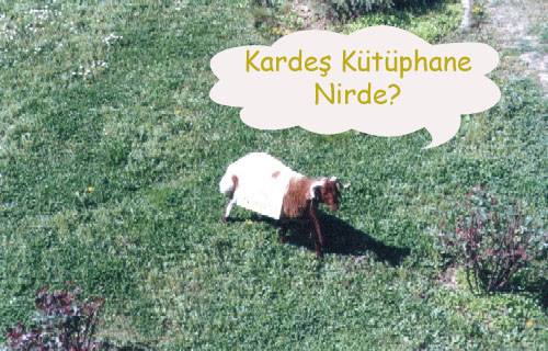 Foto - 28 Şubat zulüm günlerinde Marmara İlahiyat