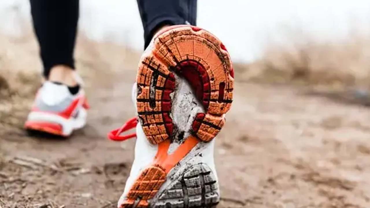 Foto - 3 ana öğün 1 ara öğün yağları yaktırır: Yağı cayır cayır yakacak beslenme kuralları