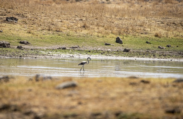 Foto - 3 ay arayla aynı göl! Doluluk oranı yüzde 65'ten 27'ye düştü