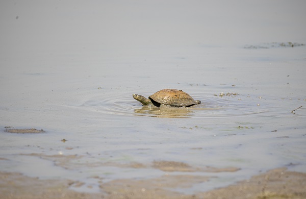 Foto - 3 ay arayla aynı göl! Doluluk oranı yüzde 65'ten 27'ye düştü