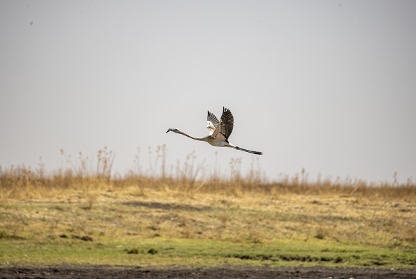 Foto - 3 ay arayla aynı göl! Doluluk oranı yüzde 65'ten 27'ye düştü
