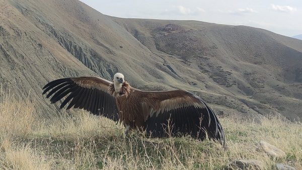 Foto - 3 ay sonra özgürlüğüne kavuştu