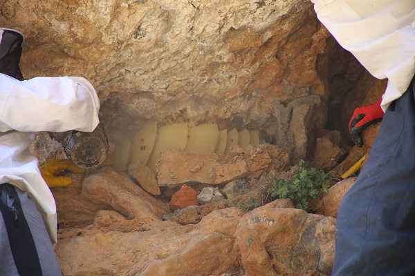 Foto - 3 bin rakımda keşfetti! Kilosunu 2 bin 500 TL'den satıyor