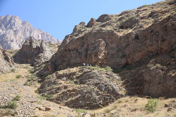 Foto - 3 bin rakımda keşfetti! Kilosunu 2 bin 500 TL'den satıyor