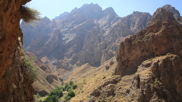 Foto - 3 bin rakımda keşfetti! Kilosunu 2 bin 500 TL'den satıyor