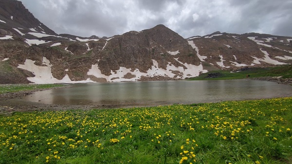 Foto - 3 bin rakımlı gölün yakınında bulunan kuzunun sahibini aranıyor