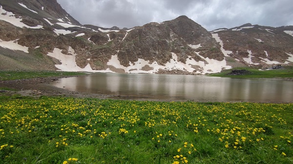 Foto - 3 bin rakımlı gölün yakınında bulunan kuzunun sahibini aranıyor