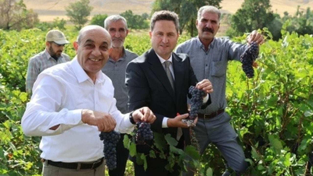 Foto - 3 bin yıldır sırrı çözülemedi: Sadece o ilimizde yetişiyor, komşu ülkeler kapış kapış alıyor