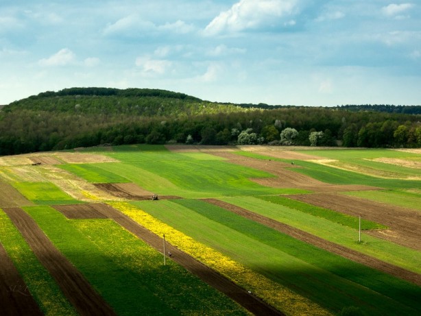 Foto - 3 gram altın fiyatına arsa sahibi olabilirsiniz! Çok büyük fırsat, başvurunun bitmesine sadece saatler kaldı