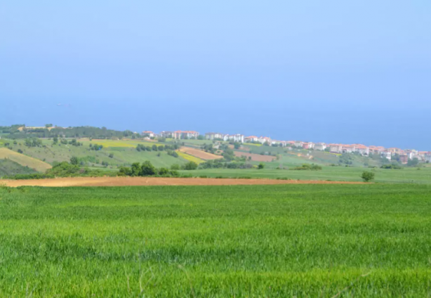 Foto - 3 gram altın fiyatına arsa sahibi olabilirsiniz! Çok büyük fırsat, başvurunun bitmesine sadece saatler kaldı